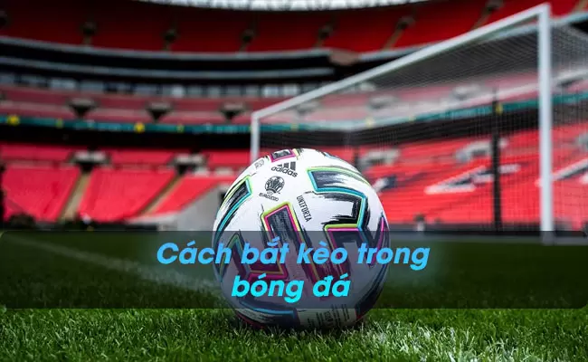 Hướng dẫn cách xem kèo bóng đá trực tuyến nhanh chóng