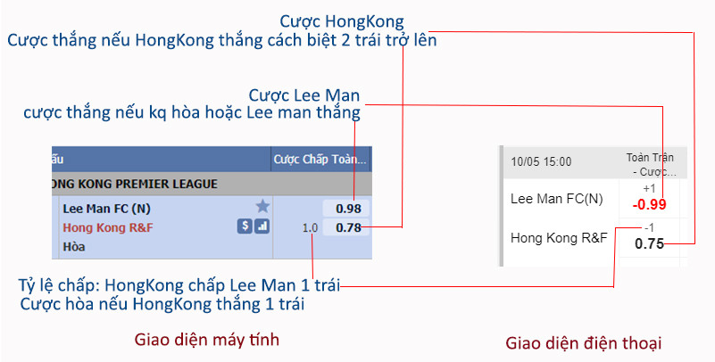 HƯỚNG DẪN CƯỢC TẠI VIVA88 và CÁCH XEM KÈO BÓNG ĐÁ