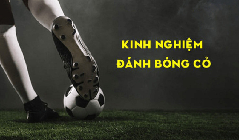 Mẹo bắt kèo cá độ bóng đá không thua từ các cao thủMẹo bắt kèo cá độ bóng đá không thua từ các cao thủ